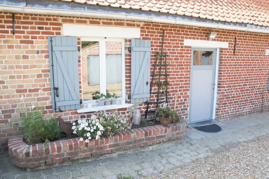 Cottage Chaleureux Au Coeur Des Monts De Flandres Saint-Jans-Cappel Екстер'єр фото