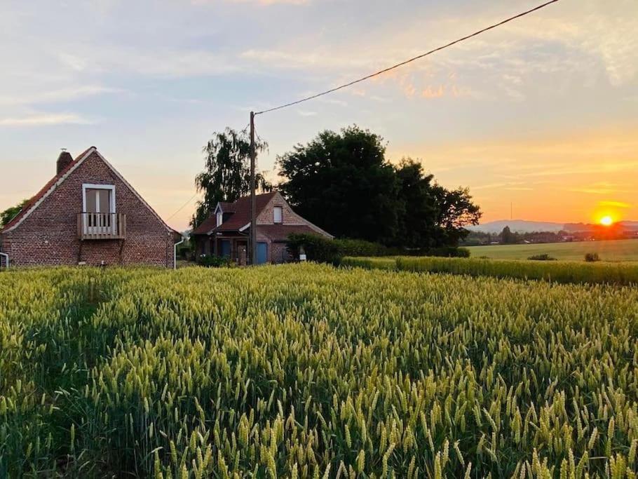 Cottage Chaleureux Au Coeur Des Monts De Flandres Saint-Jans-Cappel Екстер'єр фото